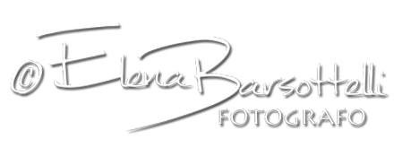 Logo Photosystem di Elena Barsottelli